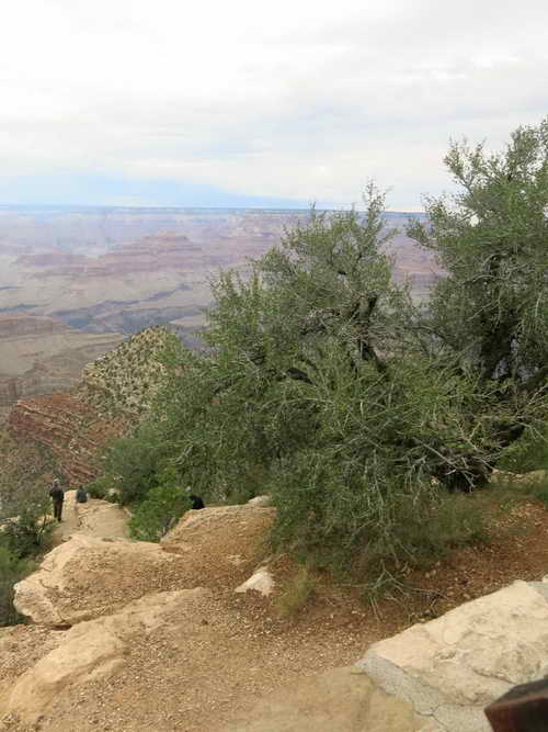 USA_2013-07-16 18-23-28_IMG_2638